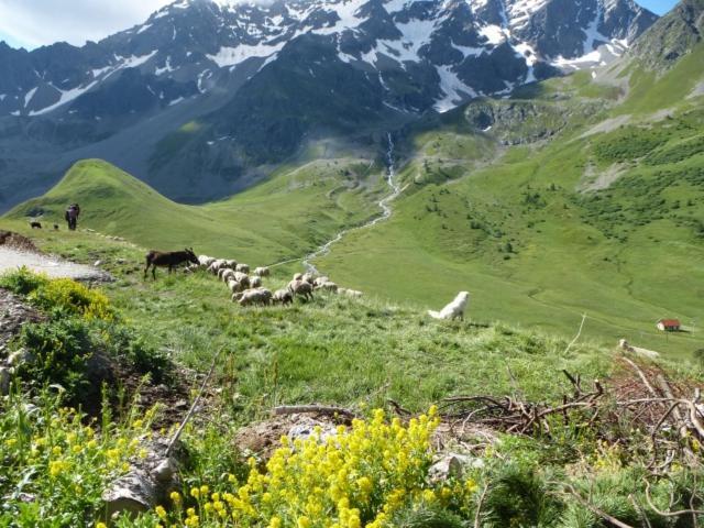 Appartement A La Montagne A La Meije Blanche Villar-dʼArène 외부 사진